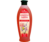 Herbavera Sieben-Kräuter Shampoo, 550 ml