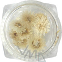 Professionelle Trockenblumen für Nägel 10120 pink / creme 10 Stück