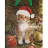 Nekupto Geschenk Papiertüte 14 x 11 x 6,5 cm Katze 1 Stück 458 50 BS