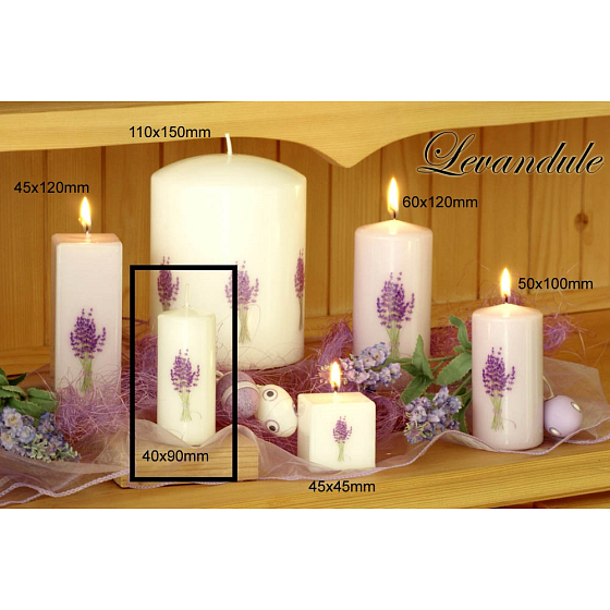 Lima Blume Lavendel Duftkerze weiß mit Lavendelaufdruck Zylinder 50 x 100 mm 1 Stück