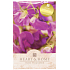 Herz & Zuhause Sanft streicheln Duftbeutel 100 ml