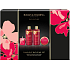 Baylis & Harding Kirschblüten Badeschaum 300 ml + Duschcreme 300 ml + Körper- und Handlotion 50 ml + Duftkerze 60 g, Kosmetikset für Frauen