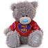 Ich zu dir Teddybär in einem T-Shirt mit der Aufschrift Hot for You 14,5 cm