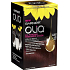 Garnier Olia Ammonia Free Haarfarbe 4.6 Dunkelrot
