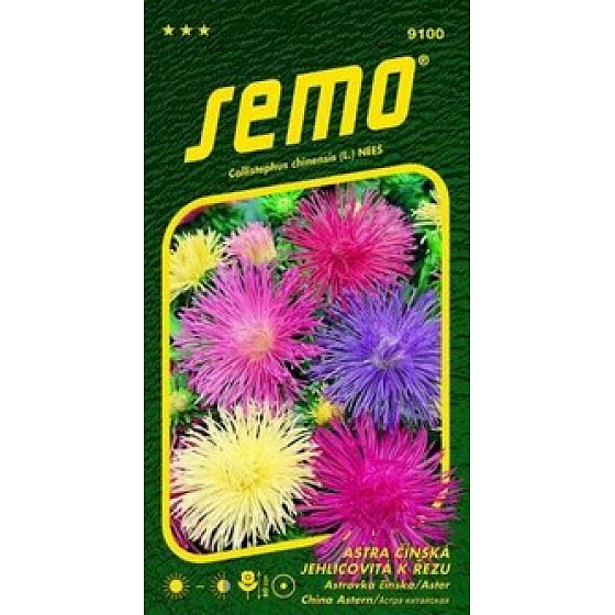 Semo Astra Chinesische nadelartige Electric - Mischung zum Schnitt 0,5 g