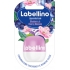 Labello Labellino Blaubeer & Kirschblüten pflegender Lippenbalsam 7 g