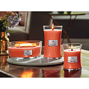 WoodWick Tamarind & Stonefruit - Duftkerze aus Tamarinde und Stein mit breitem Holzdocht und Bootsdeckel 453 g