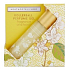 Heathcote & Ivory Neroli & Lime Leaves parfümiertes Roll-On für Frauen 10 ml