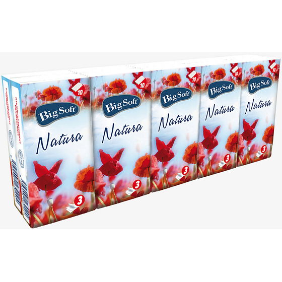 Big Soft Natura Papiertaschentücher 3-lagig 10 x 10 Stück