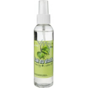 Alpa Linde mit Lindenblütenduft Haarspray 150 ml