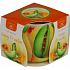 Essenzen des Lebens Honig und Wassermelone aromatische Kerze in Glas 100 g