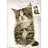 Nekupto Geschenk Papiertüte 32,5 x 26 x 13 cm Kätzchen 1 Stück 763 02 BL