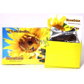 Albi Mini Garden Sunflower Box Geschenkbox Set zum Wachsen