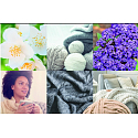Yankee Candle Soft Wool & Amber - Weiche Wolle und Bernstein duftende Votivkerze im Glas 3 x 37 g, Geschenkset