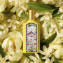Gucci Flora by Gucci Gorgeous Orchid Eau de Parfum für Frauen 50 ml