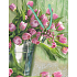 Nekupto Geschenk Papiertüte 23 x 18 x 10 cm Rosa Tulpen 1 Stück 1123 50 KFM