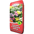 Torf Soběslav Garten und Blumenboden 20 l