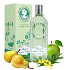 Jeanne en Provence Flánerie Dans Le Verger parfümiertes Wasser für Frauen 125 ml