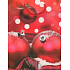 Nekupto Geschenk Papiertüte 23 x 18 x 10 cm Flaschen 1 Stück BGM 505 30