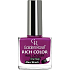 Golden Rose Rich Color Nagellack Nagellack 106 10,5 ml