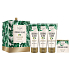 Scottish Fine Soaps Kokos- und Limetten-Duschgel 75 ml + Körperbutter 75 ml + Hand- und Nagelcreme 75 ml + Seife 40 g, Kosmetikset