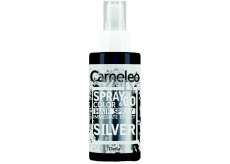Delia Cosmetics Cameleo Spray & Go Haarspray Silber 150 ml