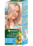 Garnier Color Naturals Kühle Silberblond 102+