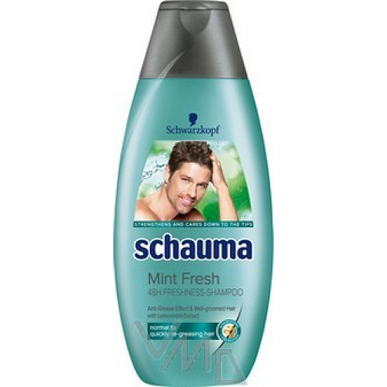 Schauma Freshness Minze Haarshampoo für Männer 250 ml