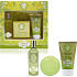 Jeanne en Provence Verveine Agrumes - Parfümwasser aus Eisenkraut und Zitrusfrüchten für Frauen 60 ml + feste Toilettenseife 100 g + Handcreme 75 ml, Geschenkset