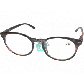 Berkeley Lesebrille +4.0 violettbraune Kunststoff-Rundgläser 1 Stück MC2171