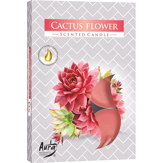 Bispol Aura Cactus Flower - Kaktusblume duftende Teekerzen 6 Stück