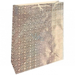Nekupto Geschenkpapier Tasche Hologramm 33 x 46 cm Silber