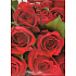 Nekupto Geschenk Papiertüte 32,5 x 26 x 13 cm Rose 1 Stück 838 30 BL