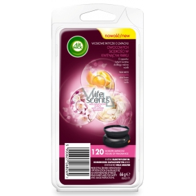 Air Wick Wax Melting Life Scents Sommerfreuden 66 g