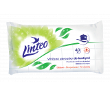 Linteo Kitchen Feuchttücher 40 Stück, 180 x 200 mm