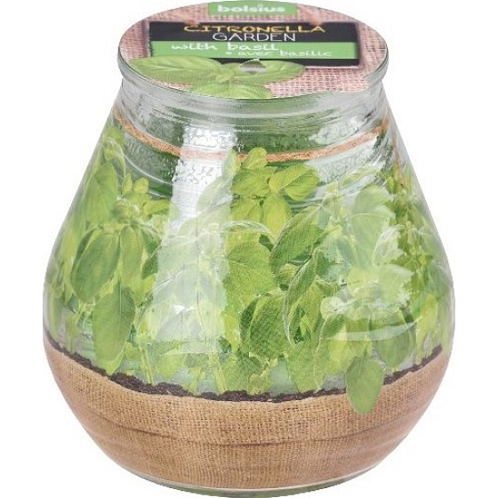 Bolsius Citronella Duftkerzenglas Basil 90 x 94 mm