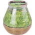 Bolsius Citronella Duftkerzenglas Basil 90 x 94 mm