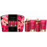 Baylis & Harding Kirschblüten Duschcreme 100 ml + Körperlotion 50 ml + Haarshampoo 100 ml + Haarspülung 50 ml + Kosmetiktasche, Kosmetikset für Frauen
