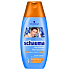 Schauma for Men Aktivierend mit Koffein für Kraft und Volumen Haarshampoo 250 ml
