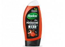 Radox Men Encouragement Koffein & Guarana 2in1 Duschgel und Shampoo für Männer 250 ml