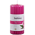 Bolsius Aromatic True Scents Peony - Pfingstrose Duftkerze Zylinder geriffelt 60 x 12 mm