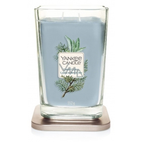 Yankee Candle Coastal Cypress - Küstenzypresse Soja-Duftkerze Elevation großes Glas 2 Dochte 553 g