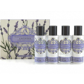 Somerset Toiletry Lavendel Haarshampoo 50 ml + Haarspülung 50 ml + Duschgel 50 ml + Körperlotion 50 ml, Geschenk-Reiseset