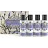 Somerset Toiletry Lavendel Haarshampoo 50 ml + Haarspülung 50 ml + Duschgel 50 ml + Körperlotion 50 ml, Geschenk-Reiseset
