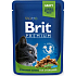 Brit Premium Huhnstücke für kastrierte Katzen Alleinfuttertasche 100 g
