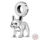 Charms Sterling Silber 925 Französische Bulldogge, Tierarmband Anhänger