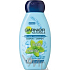 Garnier Naturals Mint Anti-Schuppen-Shampoo für normales und fettiges Haar 250 ml