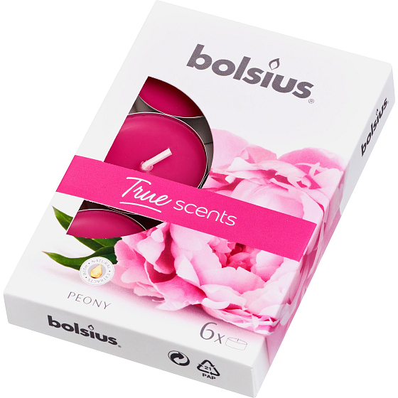Bolsius Aromatic Peony - Teelichter mit Pfingstrosen-Duft 6 Stück, Brenndauer 4 Stunden