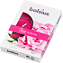 Bolsius Aromatic Peony - Teelichter mit Pfingstrosen-Duft 6 Stück, Brenndauer 4 Stunden