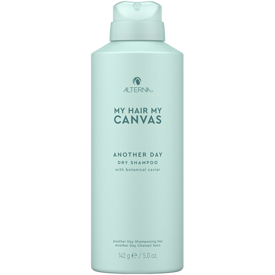 Alterna Mein Haar Mein Canvas Ein weiterer Tag Trockenes Haar Shampoo 142 g